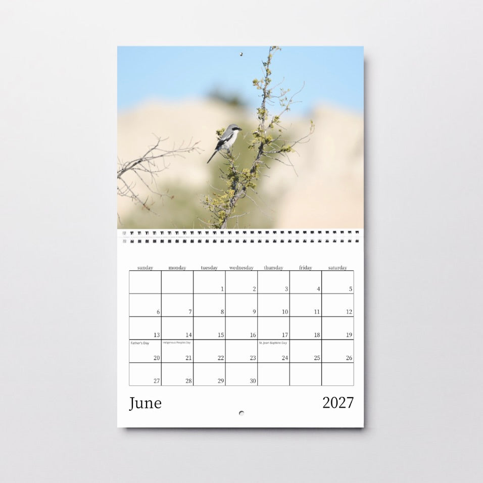 Birds of North America 2027 Calendar