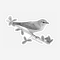 Tennessee Warbler Sticker