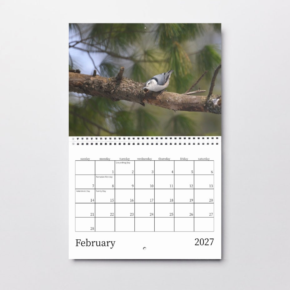 Birds of North America 2027 Calendar
