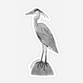 Great Blue Heron Sticker