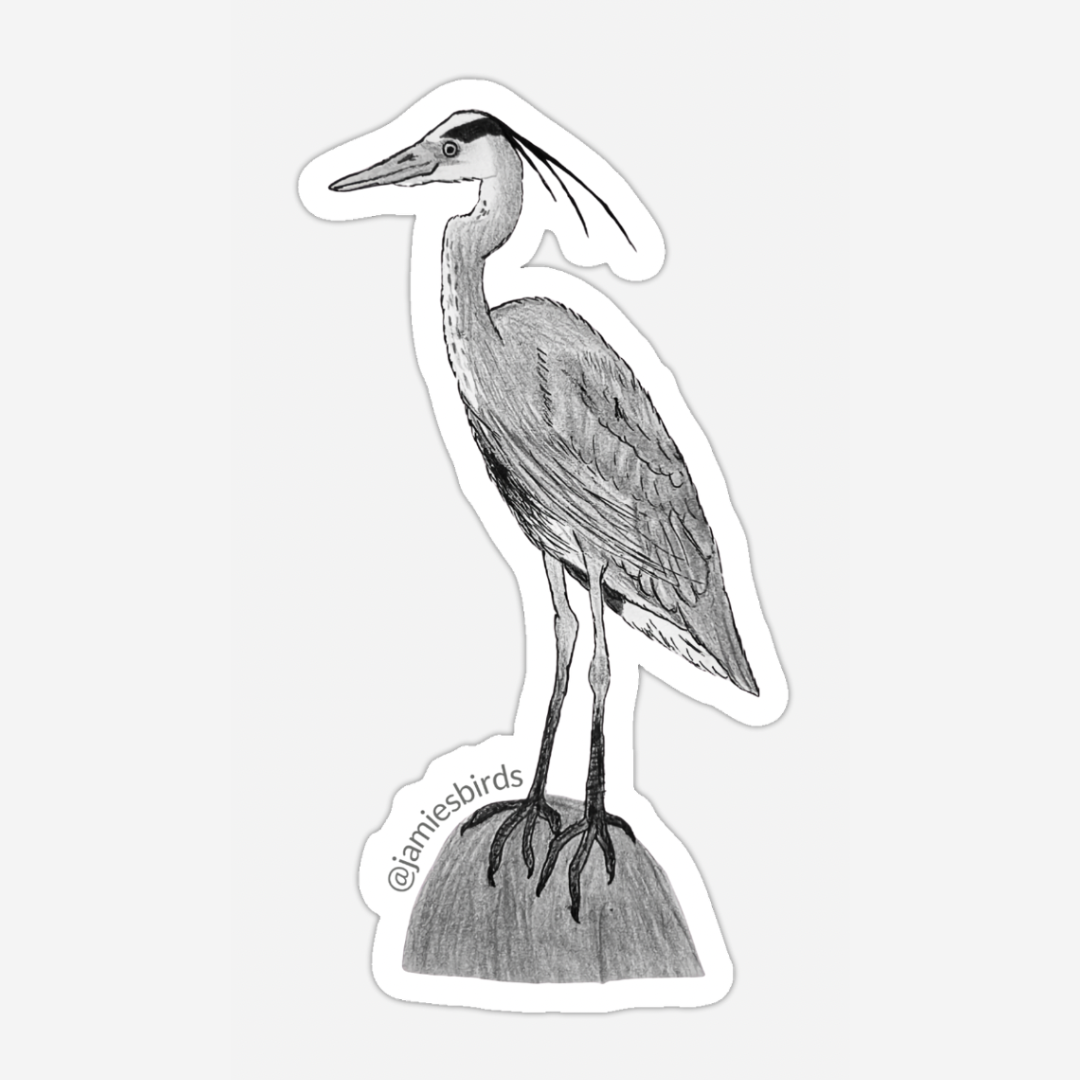 Great Blue Heron Sticker