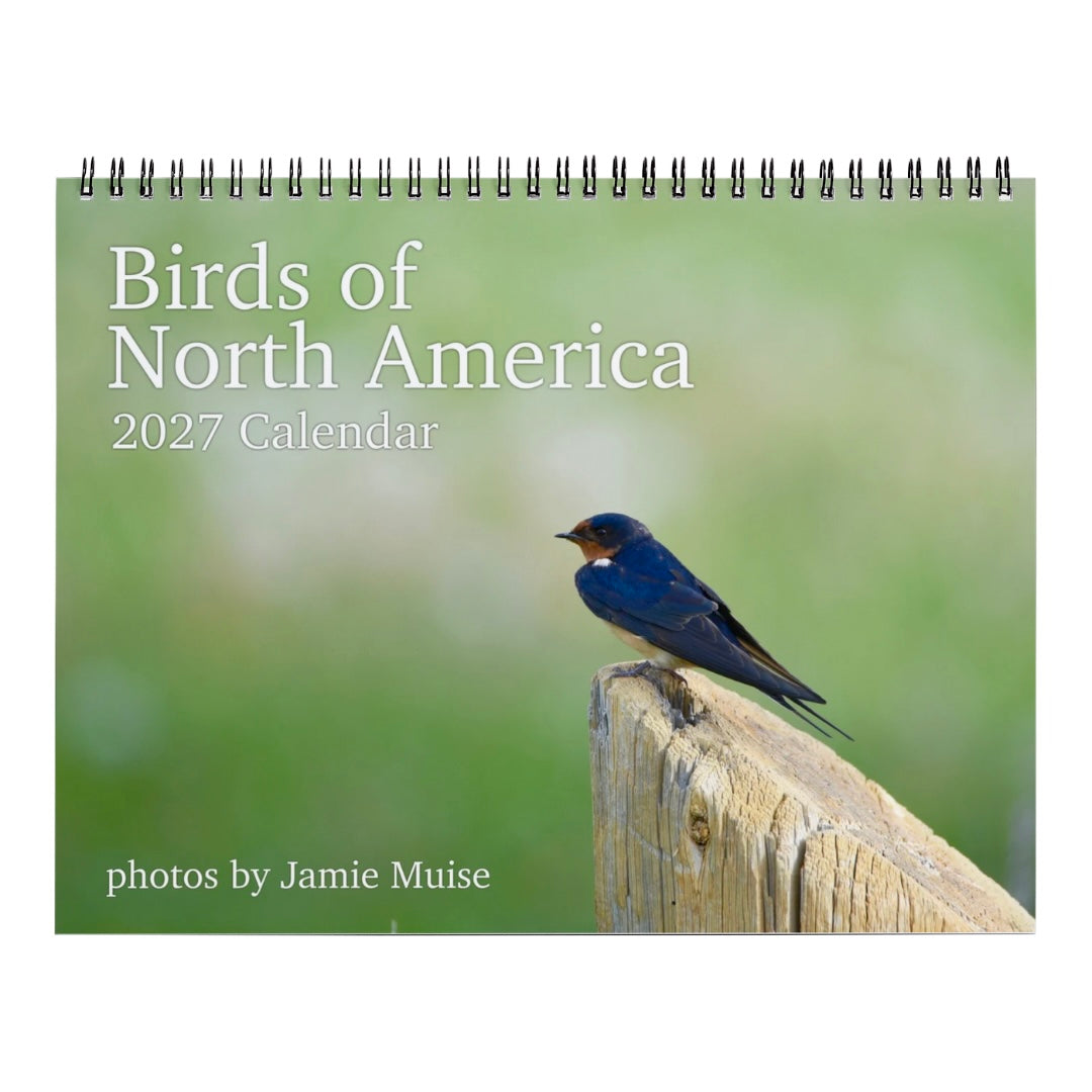 Birds of North America 2027 Calendar