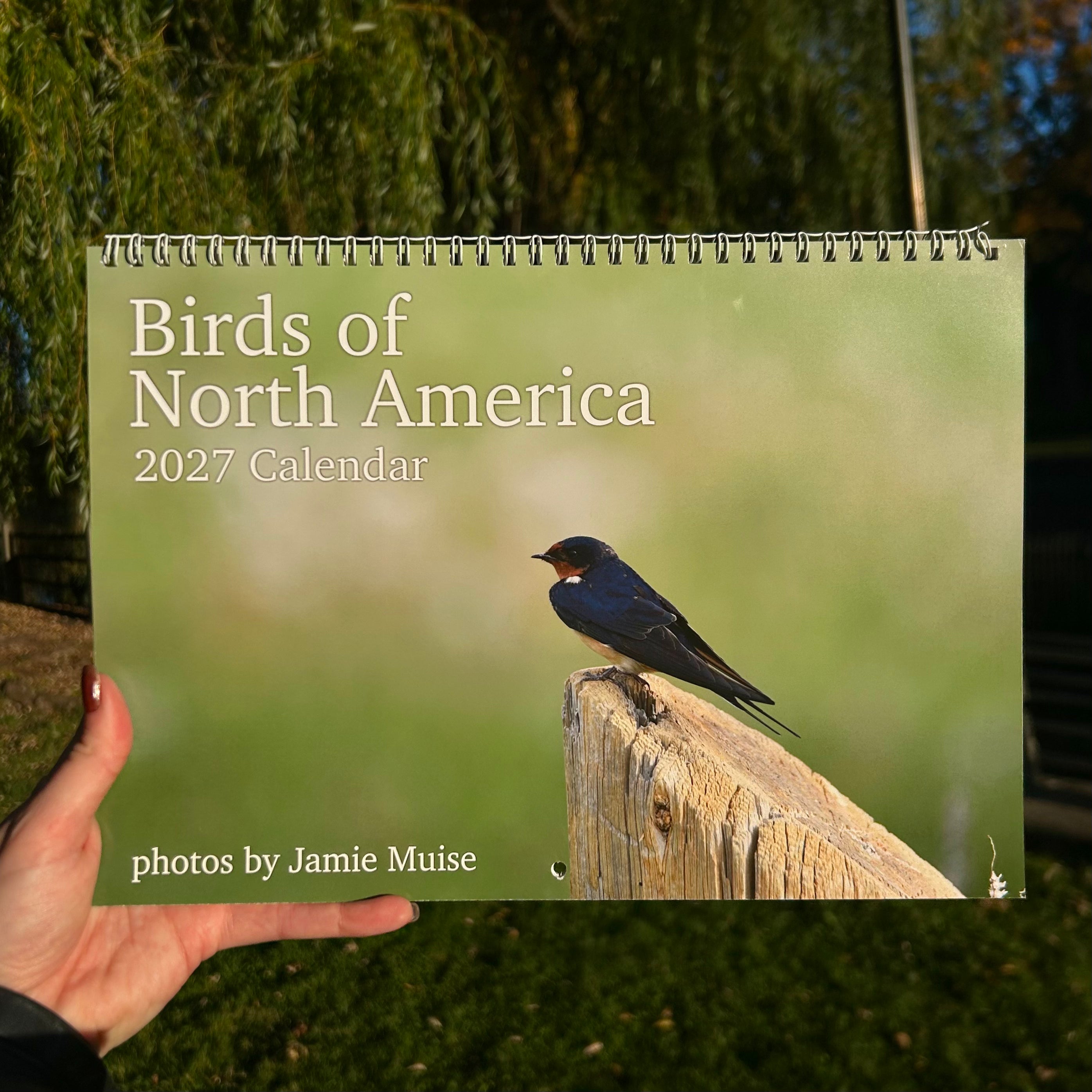 Birds of North America 2027 Calendar