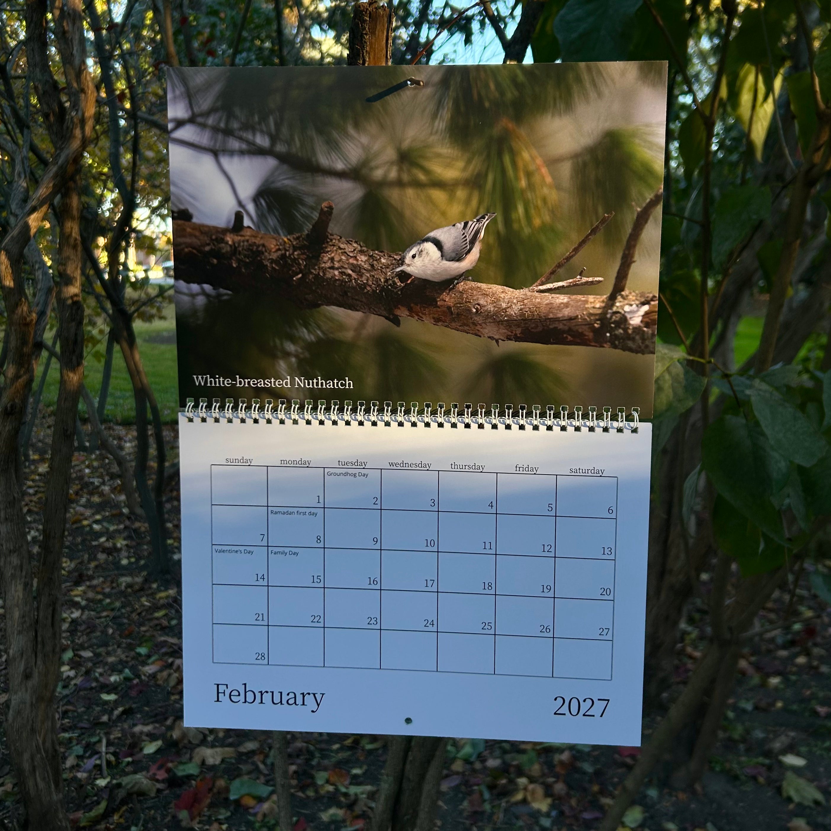 Birds of North America 2027 Calendar