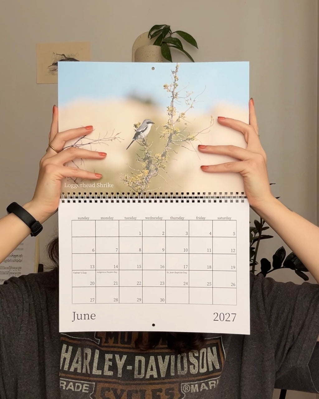 Birds of North America 2027 Calendar